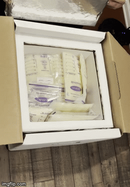 EcoGif3.gif